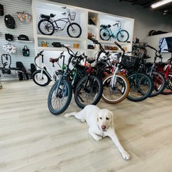 Pedego Electric Bikes New Smyrna Beach - Ellie is waiting to welcome you to Pedego NSB!