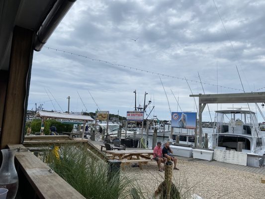 Clam and Chowder House at Salivar's Dock by null