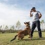 Photo of KCTC Kranenburg Canine Training Center