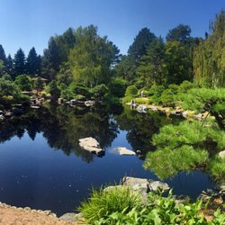 Denver Botanic Gardens - Japanese garden