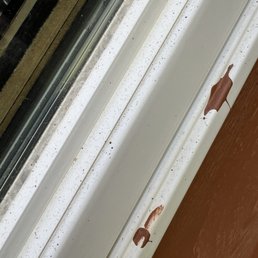 Amateur paint fail! . Amateur paint fail! .