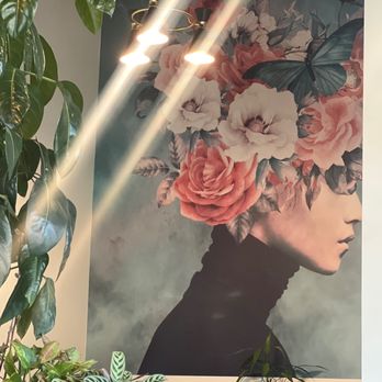 Rooted Salon & Apothecary - Hair Salons Near Me - Lawrence, Massachusetts Rooted Salon & Apothecary - Hair Salons Near Me - Lawrence, Massachusetts