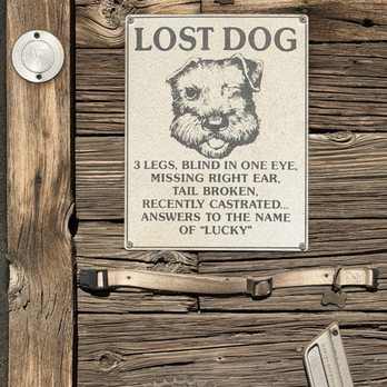 Pappy & Harriet’s - Decor - Music Venues Near Me - Pioneertown, California