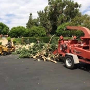 Ramirez Landscape and Tree Service - Tree Services Near Me - Fallbrook, California