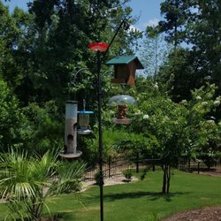 Wild Birds Unlimited - Thanks to good advice, we have a feeder layout that is really awesome... and the birds seem to enjoy it... I know we enjoy all the birds...