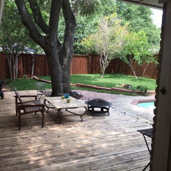 Miller Grass Company - Sod about 2 weeks after laying it. Super lush and healthy. Bonus: Pupper-approved! - Nurseries & Gardening Near Me - Dallas, Texas Miller Grass Company - Sod about 2 weeks after laying it. Super lush and healthy. Bonus: Pupper-approved! - Nurseries & Gardening Near Me - Dallas, Texas