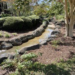 Golfin Dolphin - More scum and bacteria