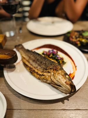 The Royce Wood Fired Steakhouse by null