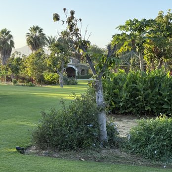 Flora's Farm - More cool gardens - Farmers Market Near Me - Ánimas Bajas, BCS
