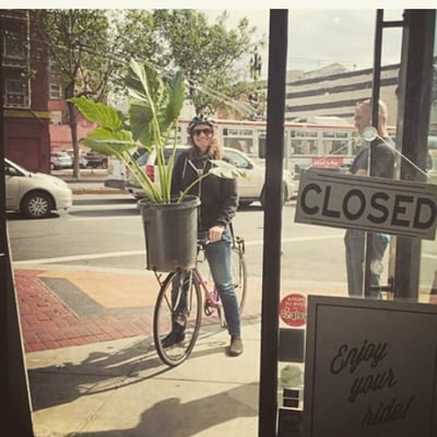 Market Street Cycles by null