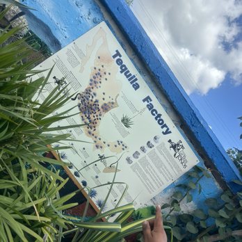 Casa Mission - Tequila tour - Seafood Near Me - Cozumel, ROO