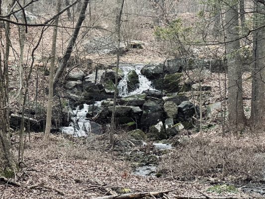 Rockefeller State Park Preserve by null