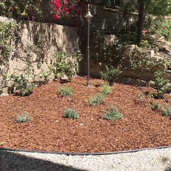 Quinones Tree Service - Tree Services Near Me Quinones Tree Service - Tree Services Near Me