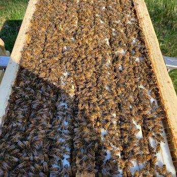 HoneySmith Bees & Gardens - Nurseries & Gardening Near Me - Crownsville, Maryland HoneySmith Bees & Gardens - Nurseries & Gardening Near Me - Crownsville, Maryland