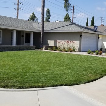 Sea Breeze Landscaping Construction - Complete front yard renovation with new lawn, patio area with paved walkway, driveway and planters. - Landscaping Near Me - Orange, California Sea Breeze Landscaping Construction - Complete front yard renovation with new lawn, patio area with paved walkway, driveway and planters. - Landscaping Near Me - Orange, California