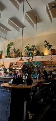 Roses' Taproom by null