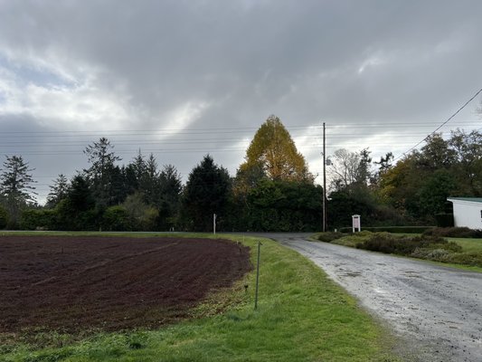 Cranberry Museum by null