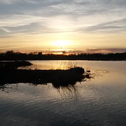 Utterslev Mose - Solnedgang i mosen