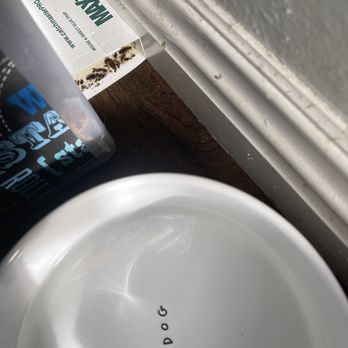 Goldman Property Group - Full roach trap next to my dog's water bowl. - Property Management Near Me Goldman Property Group - Full roach trap next to my dog's water bowl. - Property Management Near Me