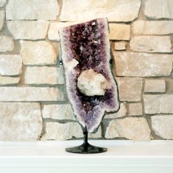 Fossil & Stone