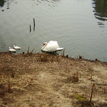 Volksgarten Letmathe - Parks Near Me - Iserlohn, NW