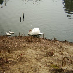 Volksgarten Letmathe