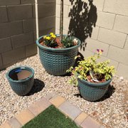 Arcadia Color Garden 2019 All You Need To Know Before Arcadia Color Garden 2019 All You Need To Know Before