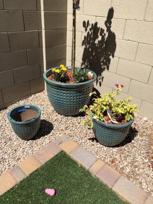 Arcadia Color Garden 1828 N 52nd St Phoenix Az Nurseries Arcadia Color Garden 1828 N 52nd St Phoenix Az Nurseries