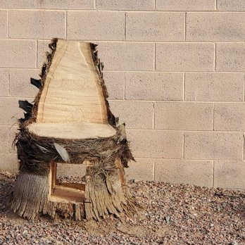 Next Level Tree Service - Tree Services Near Me - Glendale, Arizona