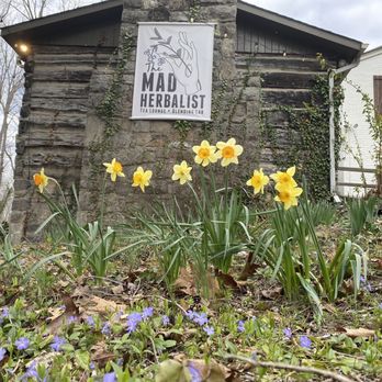 The Mad Herbalist - Tea Rooms Near Me - Clarksville, Tennessee