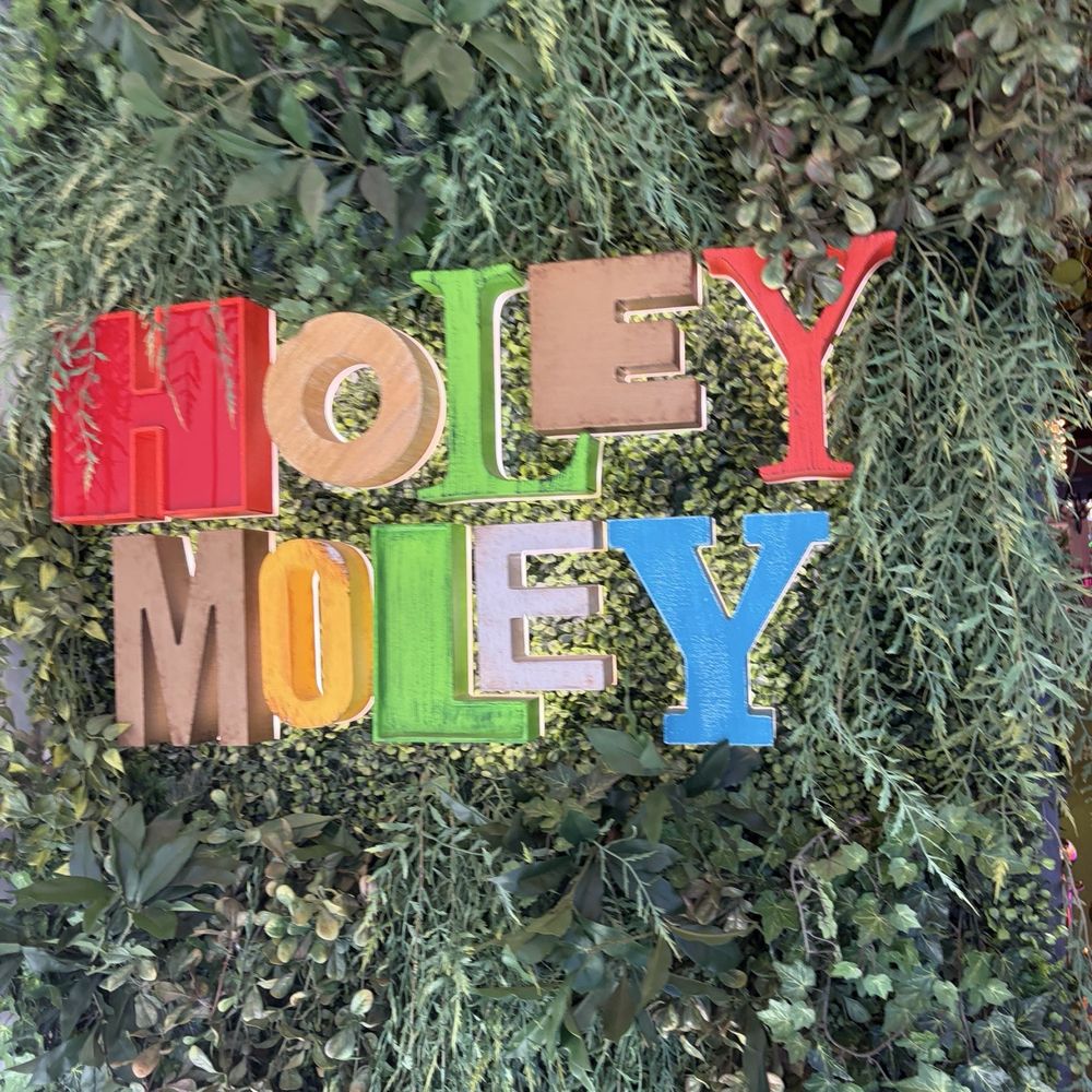 Holey Moley - Mini Golf Near Me - Houston, Texas Holey Moley - Mini Golf Near Me - Houston, Texas
