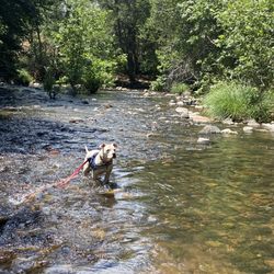 Lo Lo MaI Springs Resort - Throw me the Stick