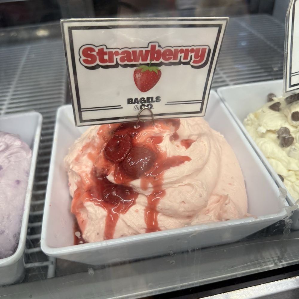 Bagels & Co - Bagels Near Me - Fort Lauderdale, Florida
