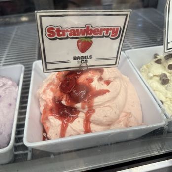 Bagels & Co - Bagels Near Me - Fort Lauderdale, Florida Bagels & Co - Bagels Near Me - Fort Lauderdale, Florida
