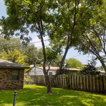 Tree Right Tree Service - Tree Services Near Me Tree Right Tree Service - Tree Services Near Me