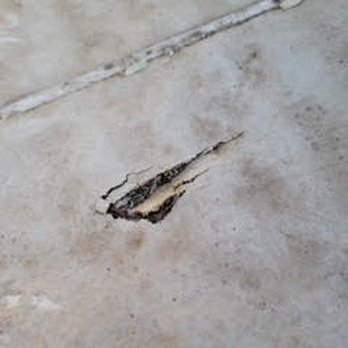 Solar Store - Roof damage from their incorrect install.  Beware. - Solar Installation Near Me - Tucson, Arizona