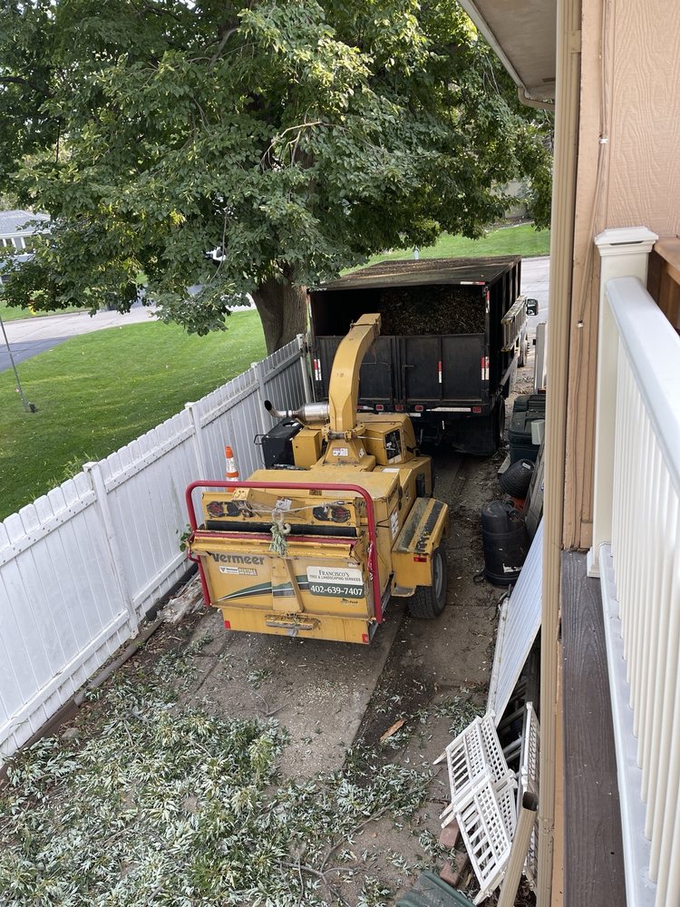 Francisco's Tree & Landscaping Services - tree service in Omaha, NE