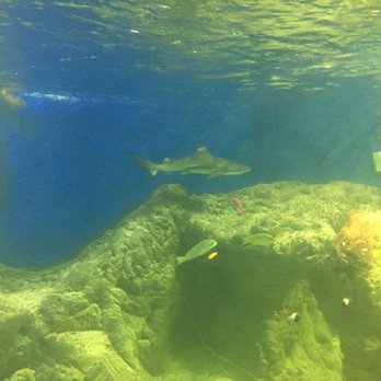 Aquaria Vattenmuseum - Museums Near Me - Stockholm, Alberta
