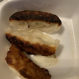 Gyoza