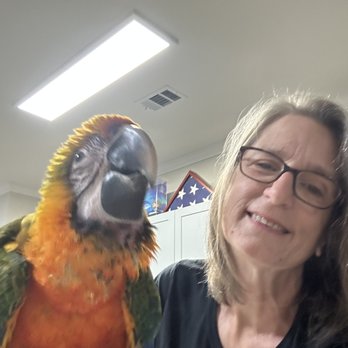 Pet Creations - Pet Stores Near Me - Jacksonville, Florida