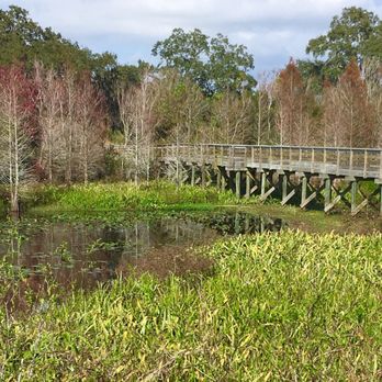 Kapok Park - Raised deck through the park - Parks Near Me - Clearwater, Florida