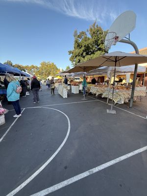 Willow Glen Farmers' Market by null