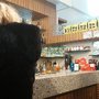 Photo of Bar Kiss