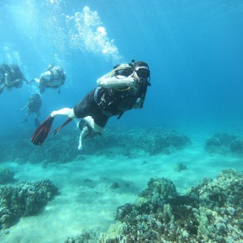 Sammy Scuba Diving - Me and my family. This is from the trip. - Scuba Diving Near Me - Lahaina, Hawaii Sammy Scuba Diving - Me and my family. This is from the trip. - Scuba Diving Near Me - Lahaina, Hawaii