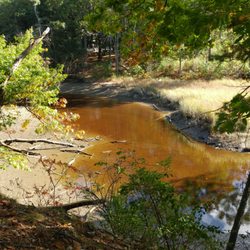 The Raymond & Simone Savage Wildlife Preserve - Less exciting water views.