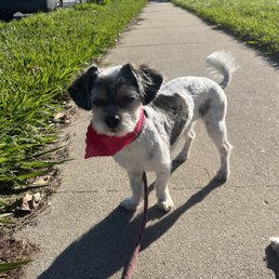 Miss Kali Miss Kali