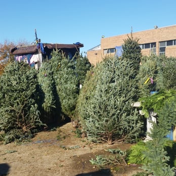 Olde City Garden - 6-7 ft Christmas Trees - Nurseries & Gardening Near Me - Washington, DC, District of Columbia Olde City Garden - 6-7 ft Christmas Trees - Nurseries & Gardening Near Me - Washington, DC, District of Columbia