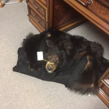 Downtown Antique Mall - Bear rug - Antiques Near Me - New Braunfels, Texas