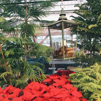 Nicks Garden Center - Nurseries & Gardening Near Me - Aurora, Colorado Nicks Garden Center - Nurseries & Gardening Near Me - Aurora, Colorado