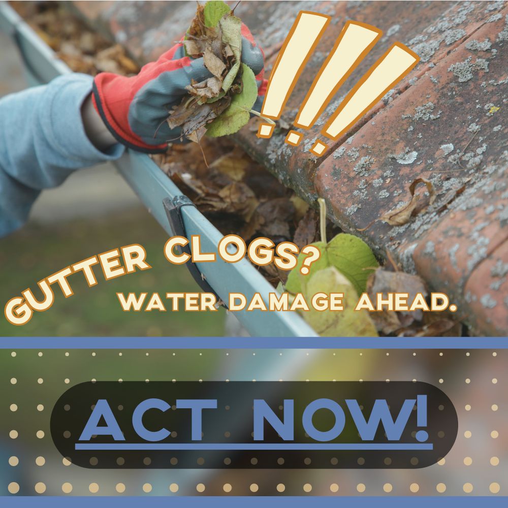 Slide of Shreiner's Kanga Roof